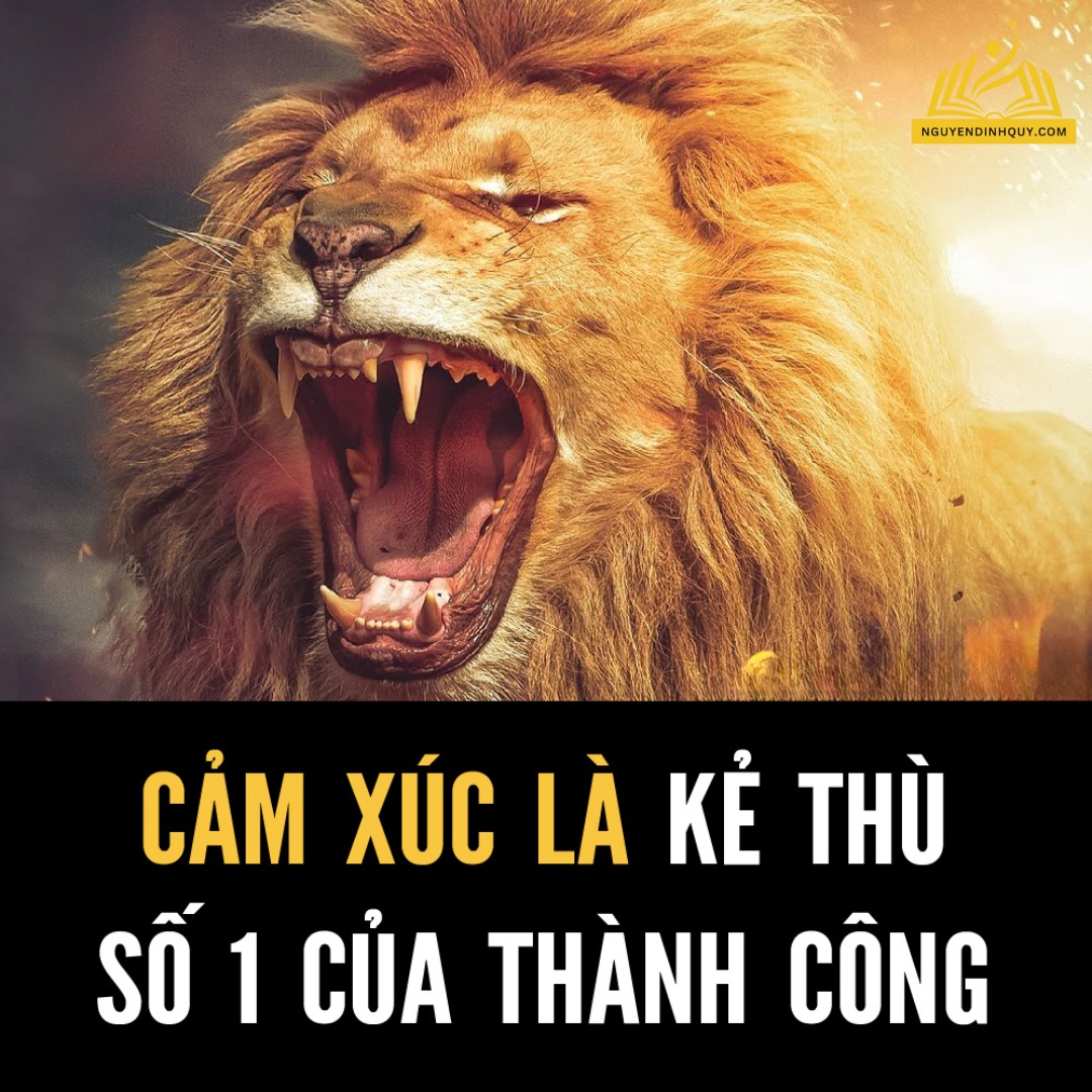 CẢM XÚC LÀ KẺ THÙ SỐ 1 CỦA THÀNH CÔNG