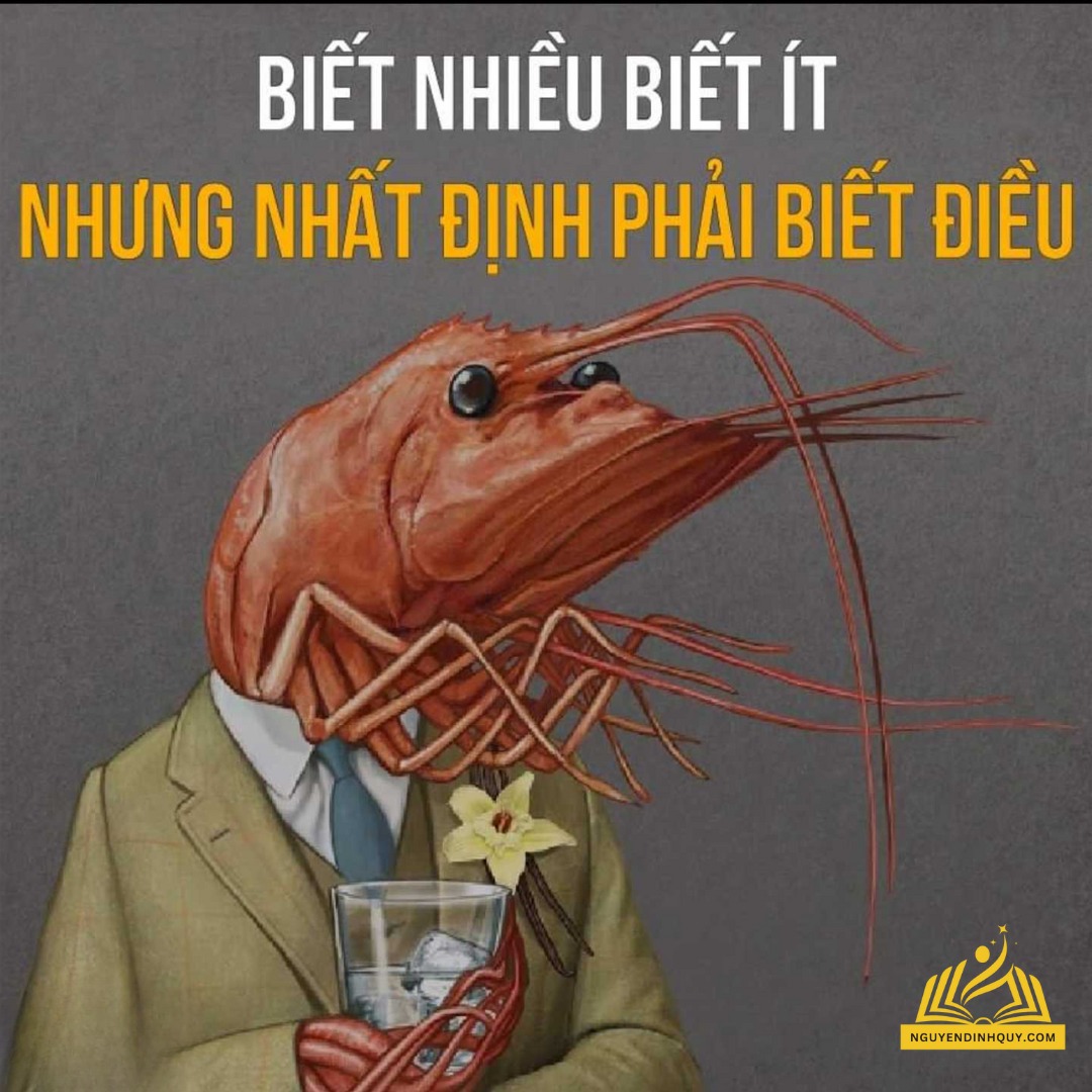 ĐỪNG LƯỜI NỮA!