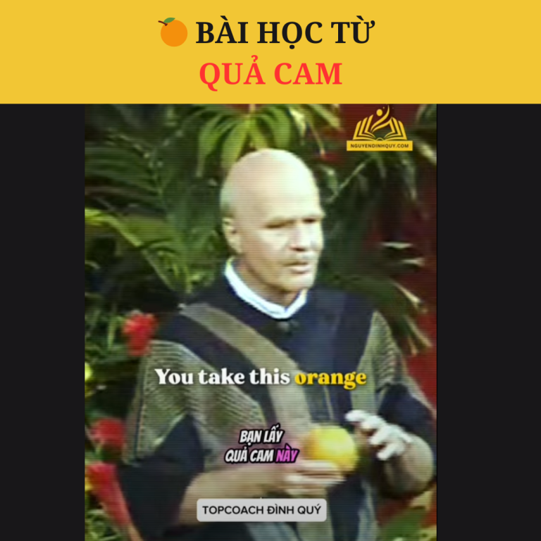 🍊 Bài Học Từ Quả Cam