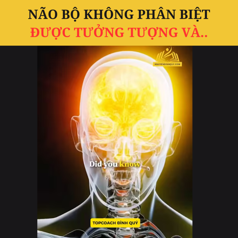 Não Bộ Không Phân Biệt Được Tưởng Tượng Và Thực Tế