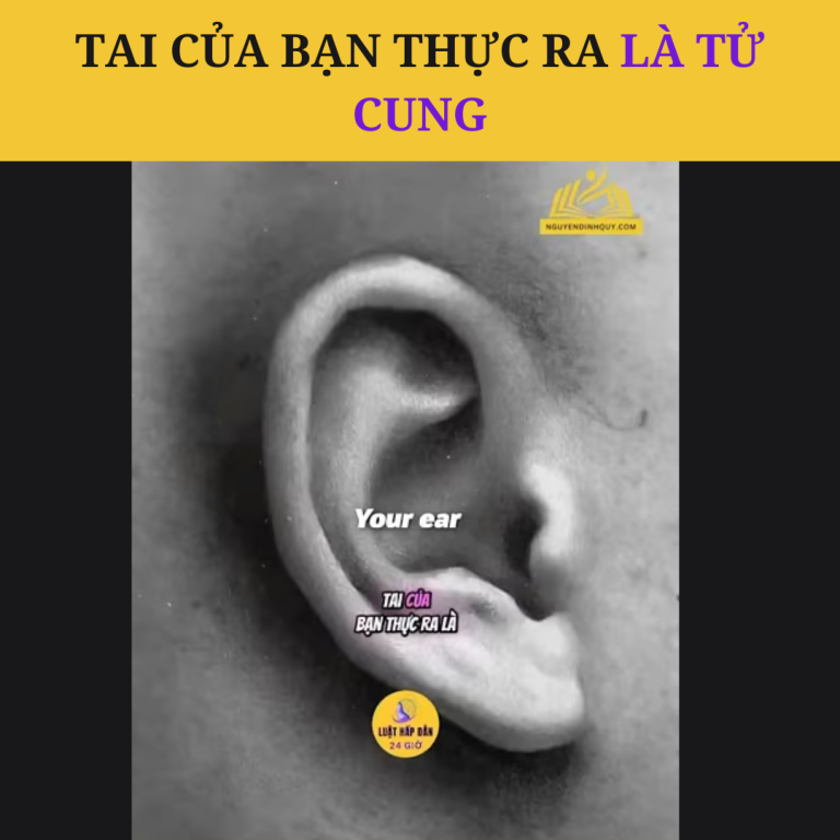 Tai của bạn thực ra là tử cung